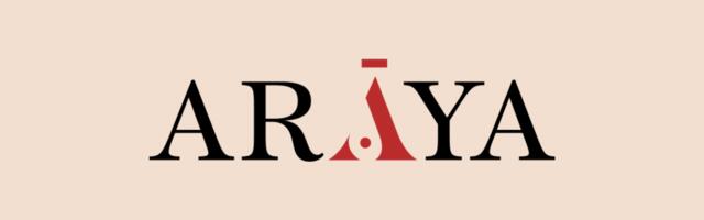 Araya closes Super Angel Fund at $10.9M