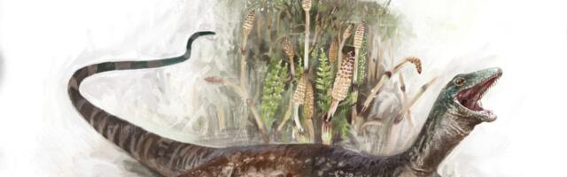 Freaky Jurassic Reptile Is a Weird Mix of Snake and Lizard