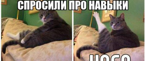 Истории из HR-ада: 5 самых нелепых провалов руководителей на собеседованиях