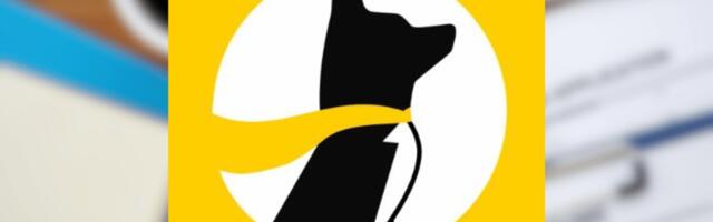 Underdog faces layoffs regulatory pressure and strategic business pivot