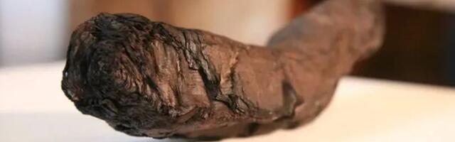 Student uses AI to decipher lost text in ancient Greco-Roman scroll, wins $40K Prize