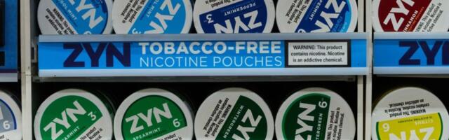 Zyn, nicotine pouches gain traction with office workers