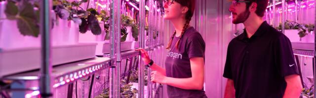 Ceragen closes $2.7 million CAD to boost greenhouse food production with “probiotics for plants”