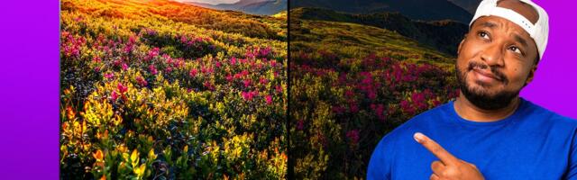 You Asked: From blinding brightness to fading OLEDs