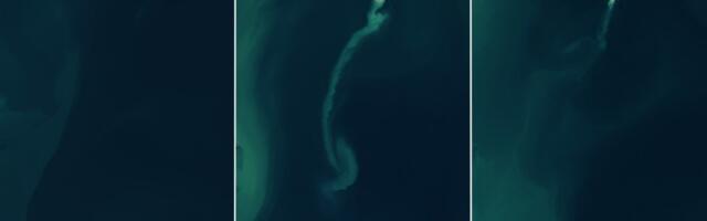 This Island in the Caspian Sea Is Almost Gone