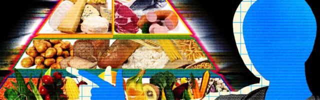 Meta’s New AI Asked for My Raw Health Data—and Gave Me Terrible Advice