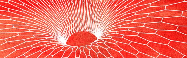 They were Silicon Valley overachievers. Then they started killing.