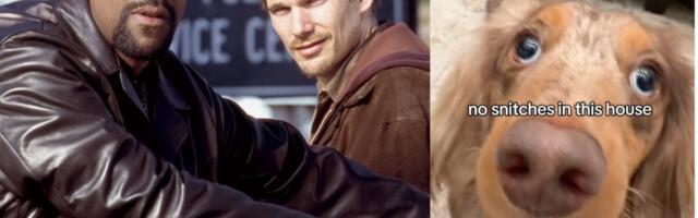 This ‘Training Day’ Meme Is Getting Me Through the Collapse of American Democracy