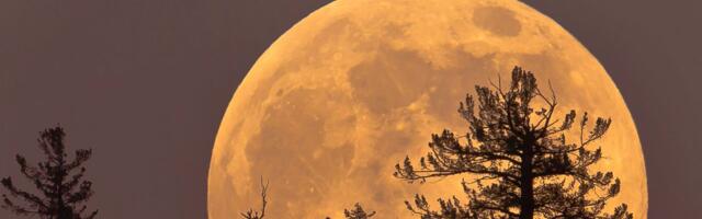 Thursday's Cold Moon Is the Last Supermoon of the Year. Here's How and When to View It