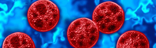 A Diarrhea-Causing Parasite Is Spreading. Should You Stop Eating Salad?