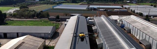 Japanese tech giant deploys laser drones to protect chickens — drones are hoped to prevent the spread of avian flu