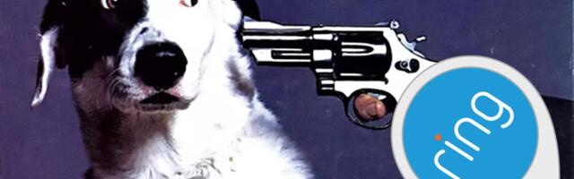 Amazon’s Ring Wants to Wash Away Your Surveillance Concerns With Lost Puppies