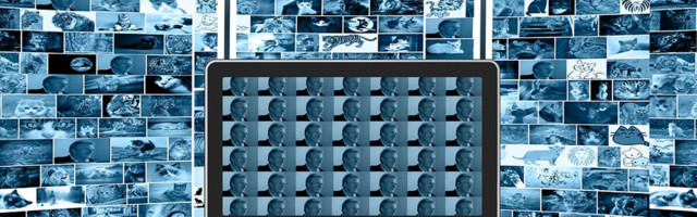 A closer look at the AI Incident Database of machine learning failures