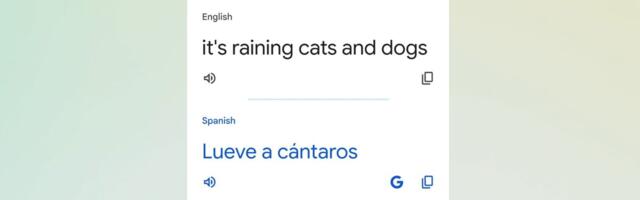 Google Translate can finally decode “raining cats and dogs”