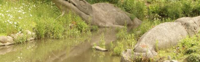 Ancient Roman May Have Been the World’s First Collector of Sea Monster Fossils