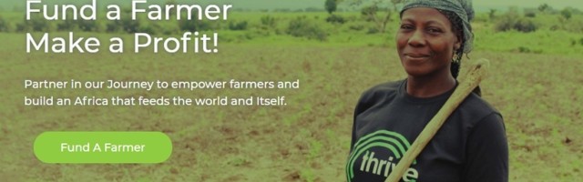 Nigerian agri-tech startup Thrive Agric shuffles management team to implement turnaround strategy