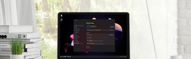 Want to pause Windows 11 updates for as long as you want? Your wish could soon come true