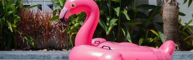 This AI Platform Has Your Pool Design Covered. Here's How Vondy Helps