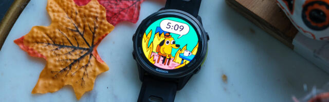 I wear a Garmin every day, and my favorite watch face is the one that makes me smile