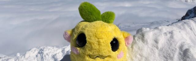 There's a new ugly little toy winning the internet