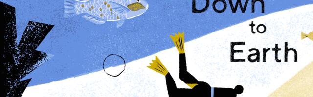 Down to Earth, Vox’s project on the biodiversity crisis, enters its 4th year