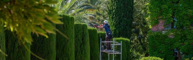 What Is The Difference Between A Hedge Cutter And A Hedge Trimmer?