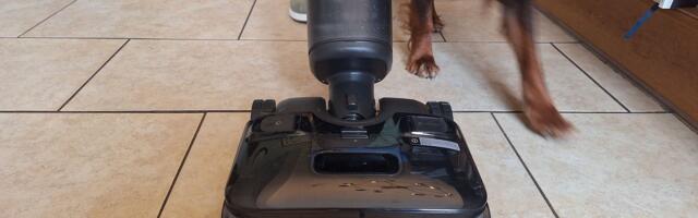 What is a wet-and-dry vacuum, and do I actually need one?