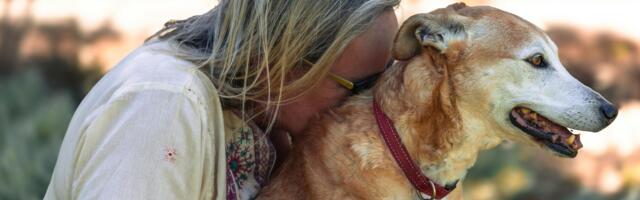 Psychology says the grief people feel when a dog dies is often heavier than they expected because the dog witnessed years of their private self that no human in their life ever saw