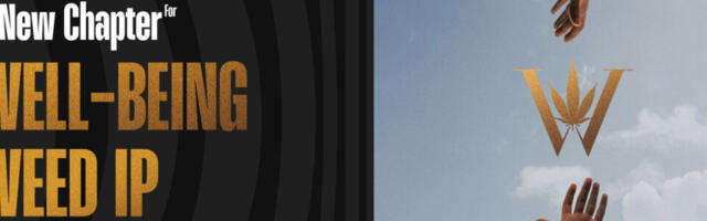 Weed Launches Global Well-Being Platform Powered by AI