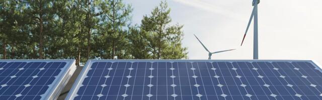 Small team, global ambitions: Greenvi AI bets on AI to unlock Europe’s energy transition