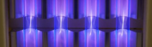 Scientists Discover Surprising Allergy Fix: UV Light