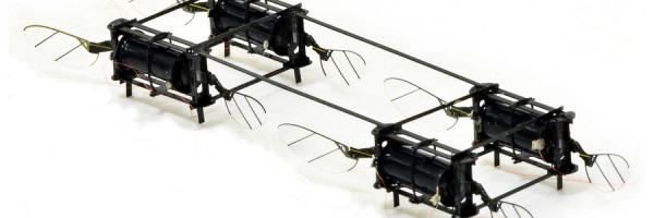 MIT’s insect-sized drones are built to survive collisions