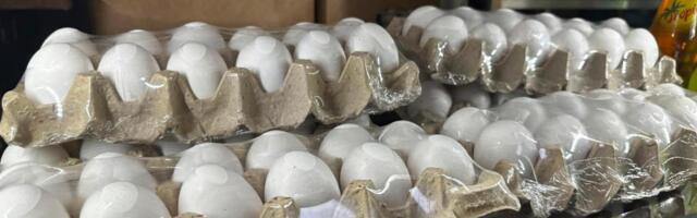 Surging egg prices boost vegan alternatives made with mung beans