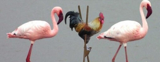 Запустил open source проект на 3 площадках для стартапов. Вот что получилось