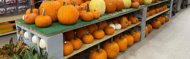5 Things That Just Feel Strange To Buy From Home Depot