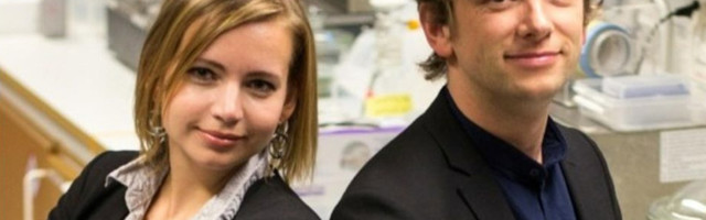 Swedish startup Melt&Marble raises €750K to create fats that close the taste gap between animal and plant-based meats