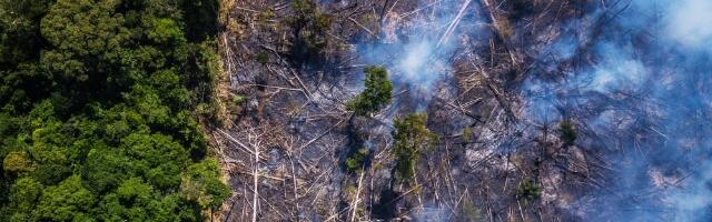 NASA steps in to help Brazil fight Amazon deforestation