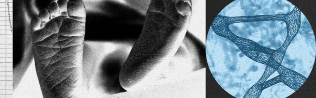 A New Startup Wants to Edit Human Embryos