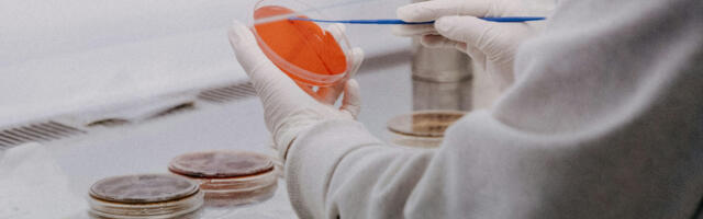 Biossil exits stealth with $70 million USD to give failed medicines a second chance