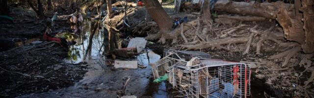 San Jose eyes reforms to combat abandoned shopping cart problem