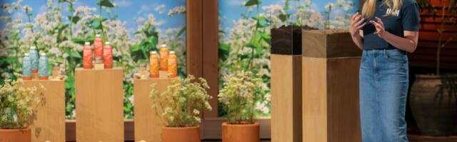 Milk on a mission: California entrepreneur introduces buckwheat milk to America on ‘Shark Tank’
