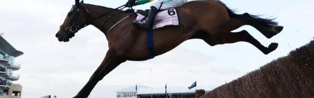 How to watch Cheltenham Festival 2026 for *FREE* — Live Stream National Hunt racing live from anywhere