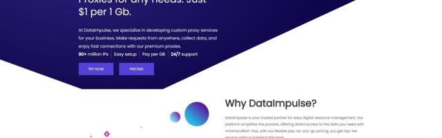 DataImpulse Proxy Service Review