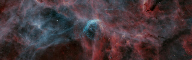 Tuesday Telescope: A howling wolf in the night sky
