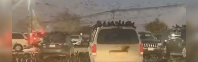 Правдиво ли это видео об огромной стае птиц, кружащей над Израилем?