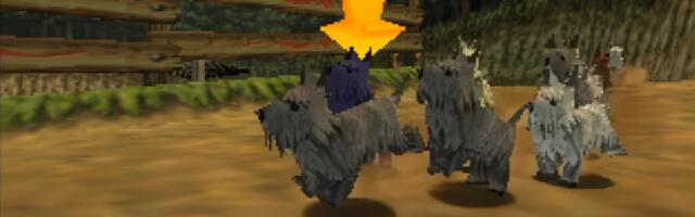 After 24 years of failure, The Legend of Zelda: Majora's Mask's blue dog has finally won a race