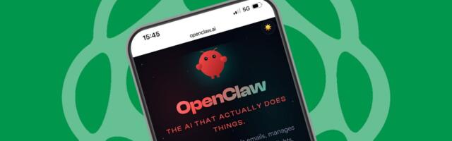 AI fever sparks Raspberry Pi meme stock frenzy