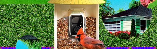 The Smart Bird Feeders Everyone’s Talking About (and Actually Buying) (2026)