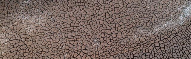 A super El Niño and the Iran war are colliding in the same six-month window, and the models pricing global food risk were never built for shocks arriving in stereo