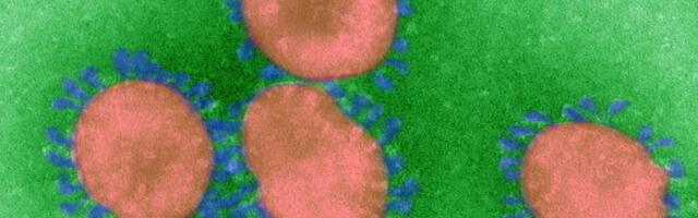 Is it time to be worried about Covid-19 again?